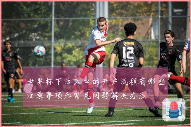 世界杯下注入口的开户流程有哪些注意事项和常见问题解决办法