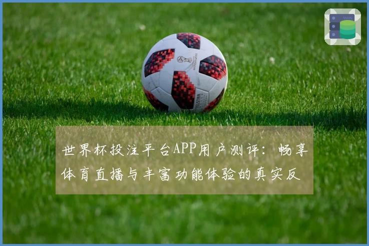 世界杯投注平台APP用户测评：畅享体育直播与丰富功能体验的真实反馈