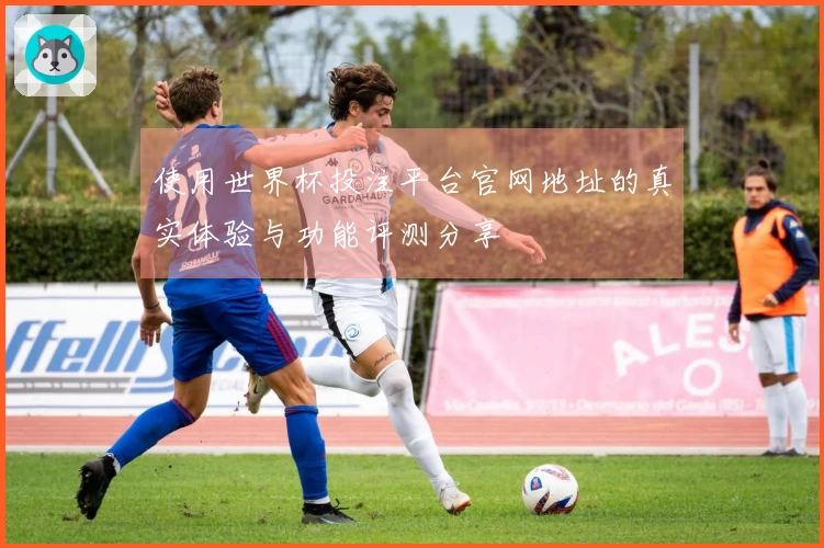使用世界杯投注平台官网地址的真实体验与功能评测分享