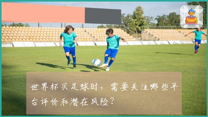 世界杯买足球时，需要关注哪些平台评价和潜在风险？