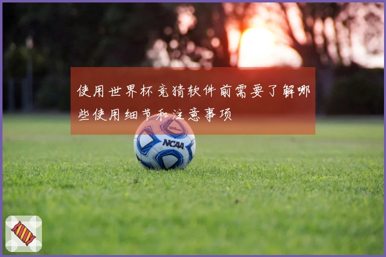 使用世界杯竞猜软件前需要了解哪些使用细节和注意事项