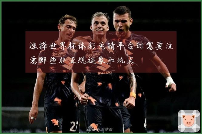 选择世界杯体彩竞猜平台时需要注意哪些非正规迹象和坑点