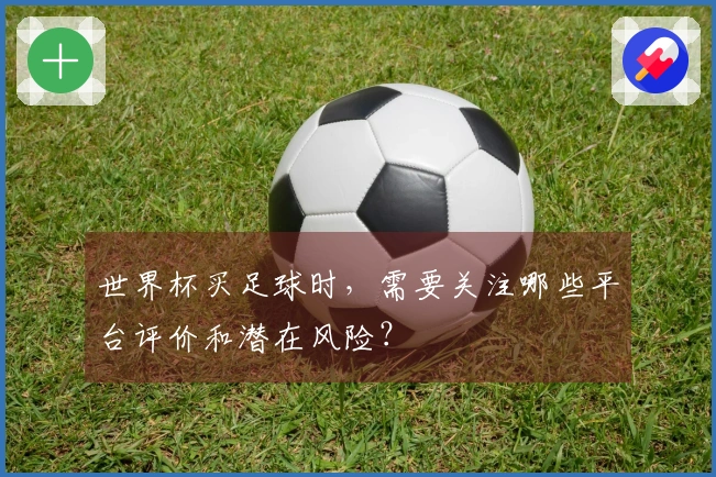 世界杯买足球时，需要关注哪些平台评价和潜在风险？