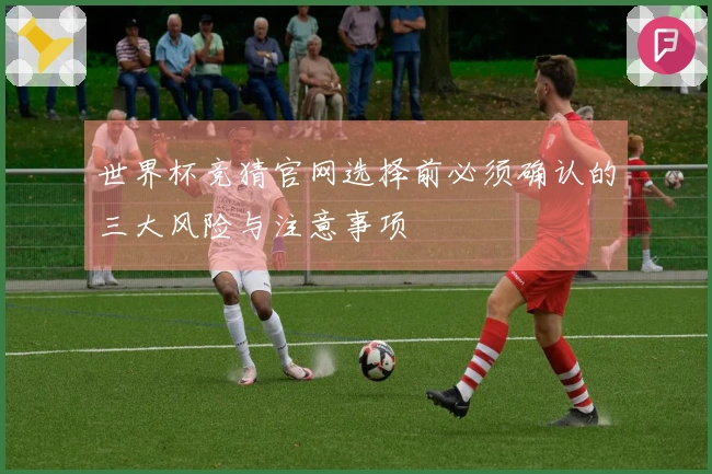 世界杯竞猜官网选择前必须确认的三大风险与注意事项