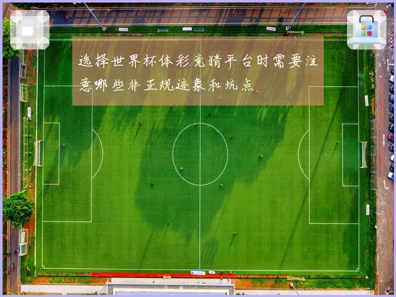 选择世界杯体彩竞猜平台时需要注意哪些非正规迹象和坑点