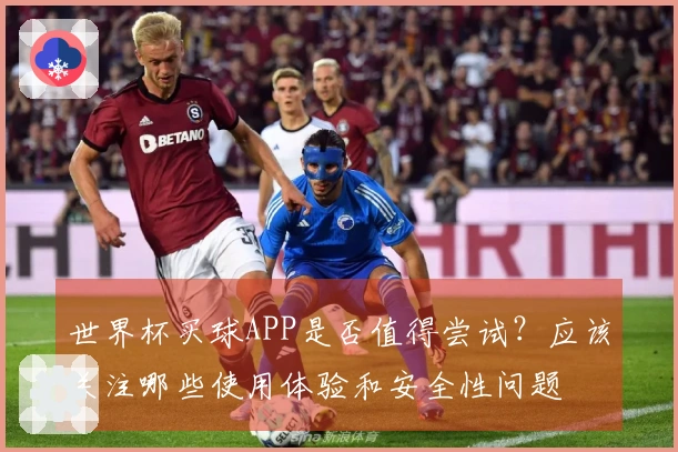 世界杯买球APP是否值得尝试?应该关注哪些使用体验和安全性问题