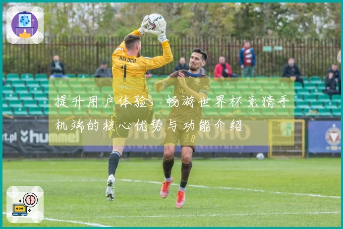提升用户体验，畅游世界杯竞猜手机端的核心优势与功能介绍