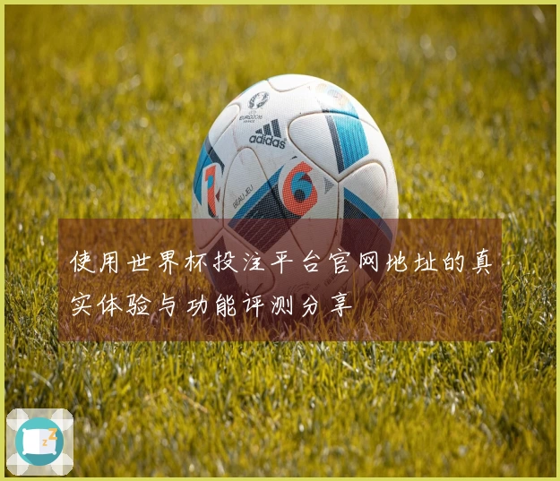 使用世界杯投注平台官网地址的真实体验与功能评测分享