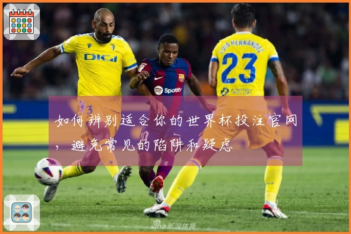 如何辨别适合你的世界杯投注官网，避免常见的陷阱和疑虑