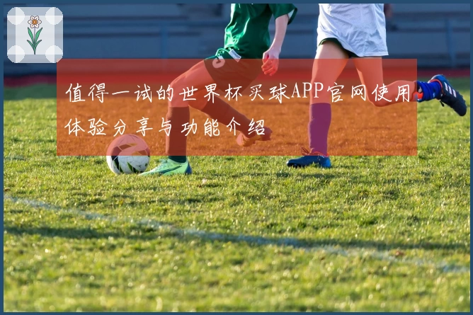 值得一试的世界杯买球APP官网使用体验分享与功能介绍