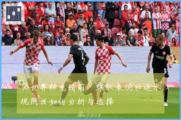 买世界杯竞猜前，球队表现和返水规则该如何分析与选择