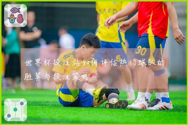 世界杯投注站如何评估热门球队的胜算与投注策略
