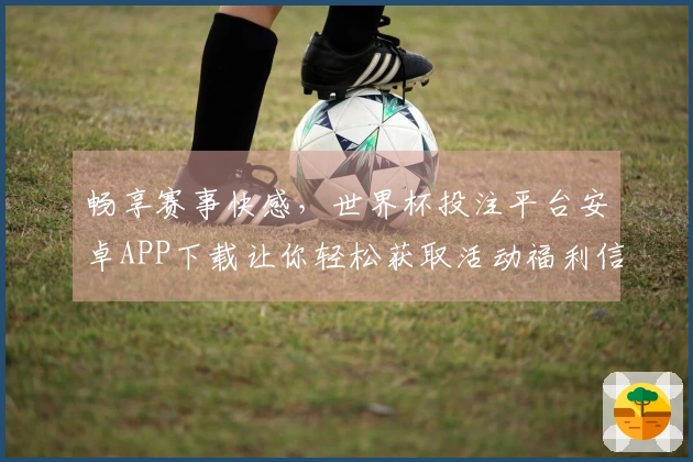 畅享赛事快感，世界杯投注平台安卓APP下载让你轻松获取活动福利信息
